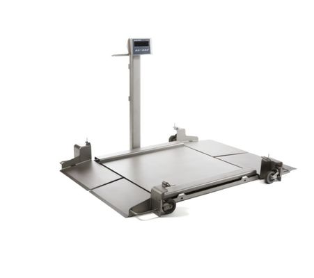 2888P-SS Bodenwaage - 0,5K Kapazität - 24x24 Industrieplattform mit 1 Fuß Kabel